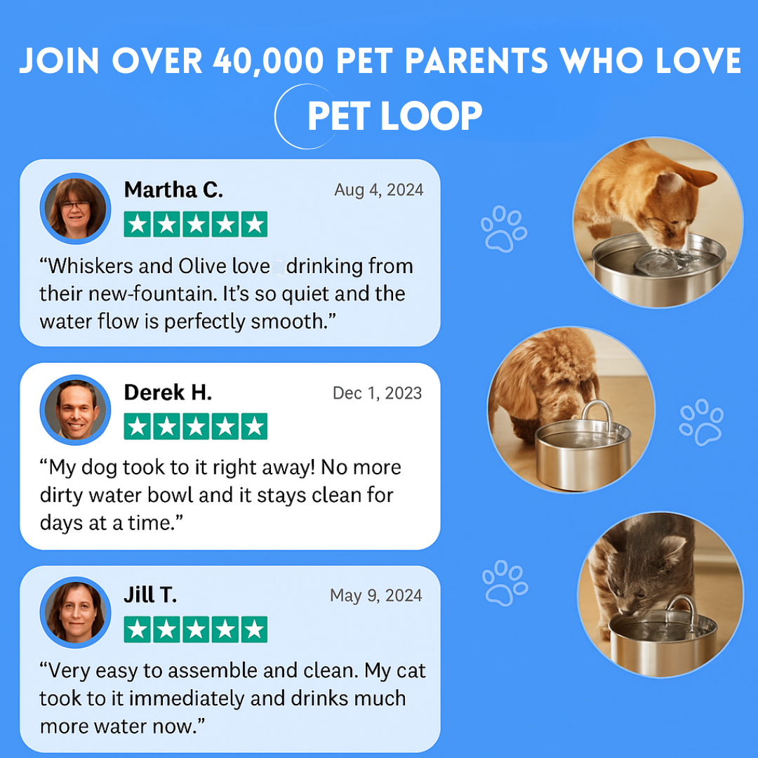 Pet Loop™  - Filtered Water Fountain
