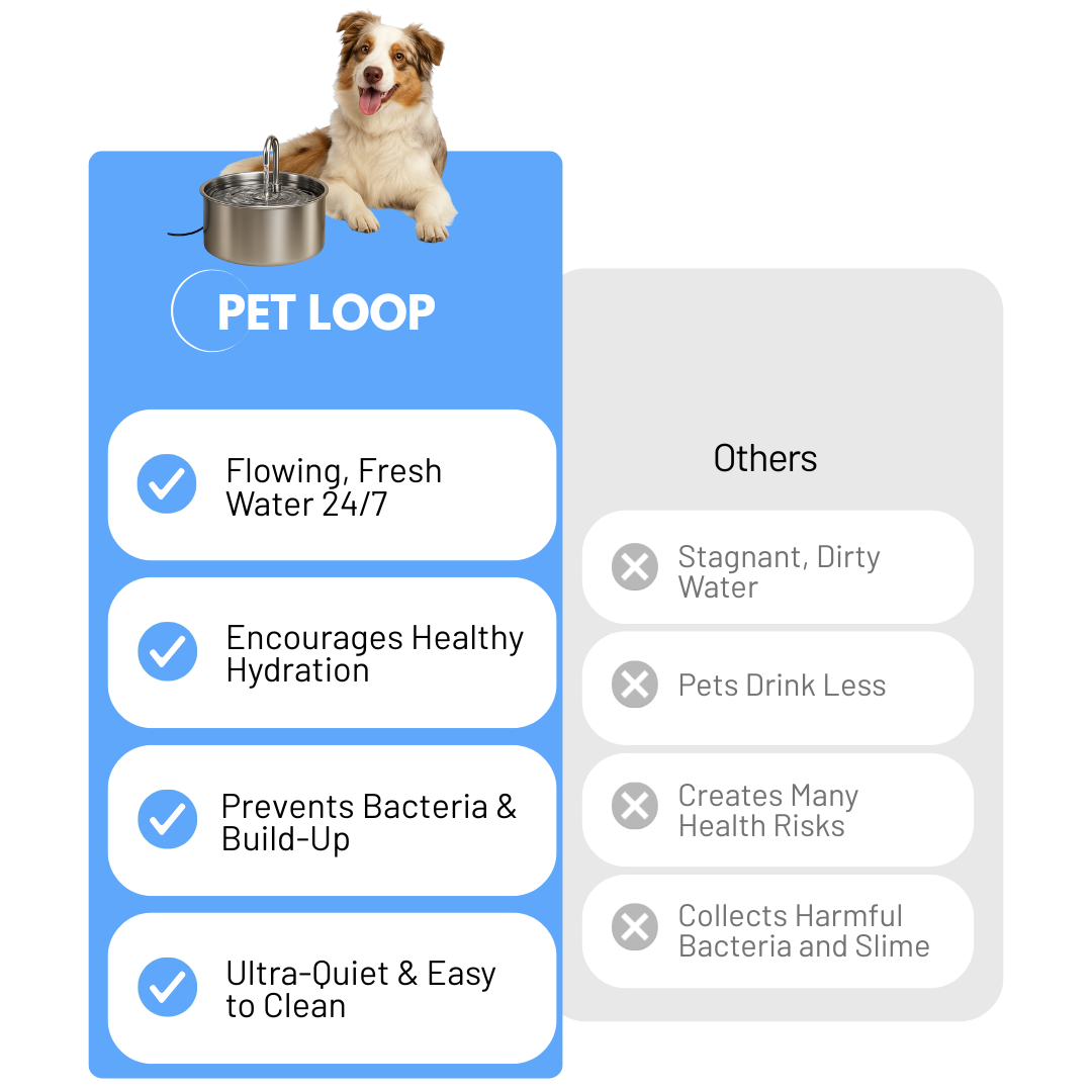 Pet Loop™  - Filtered Water Fountain